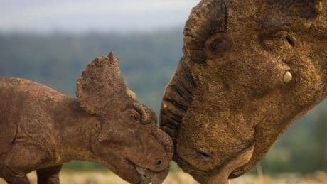 'I went hunting for dinosaurs in the surreal Canadian Badlands'