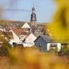 „Ich werde mit ihm da hinfahren“: Merz will mit Trump Winzerort in der Pfalz besuchen