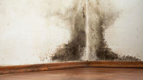 Damp and mouldy housing means too many people are left in the cold