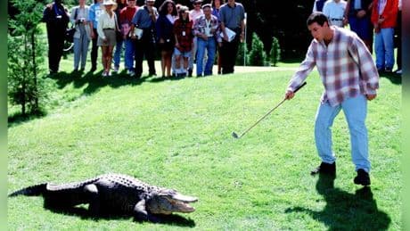 Adam Sandler: Er trauert um seinen tierischen Filmpartner
