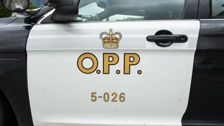 Suspects elusive after Ontario man found dead in car crash was assaulted, kidnapped