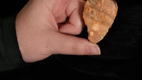 Découverte de traces d’une présence humaine vieille de plus de 1 million d’années sur une île indonésienne