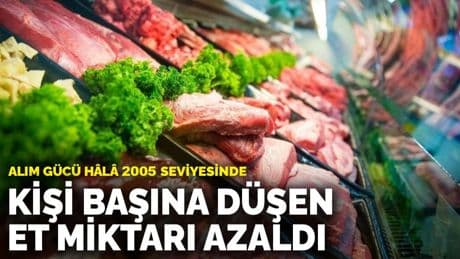 Kişi başına düşen et miktarı azaldı: Alım gücü hâlâ 2005 seviyesinde