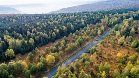 Waldbrände: Rauch über dem Reinhardswald - Brand unter Kontrolle