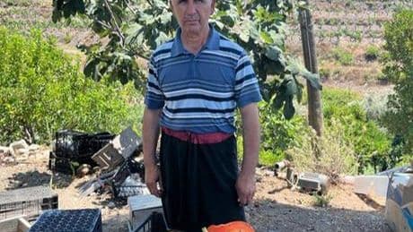 Alanya'da papaya hasadı başladı