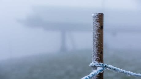 Wetter: Schnee fällt nachts auf dem Feldberg - am Morgen nur Sturm
