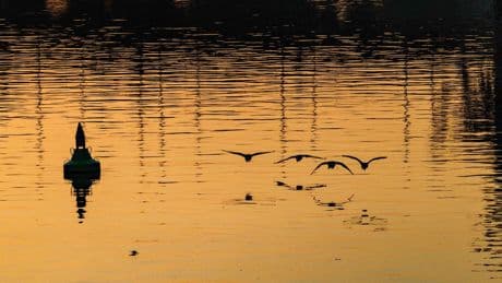 Wetter: Sonniges Wetter für Hessen erwartet
