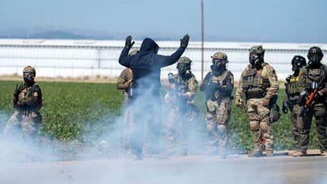 Angst vor Abschiebung: US-Farmer verzweifeln: ICE-Razzien gefährden die Ernte