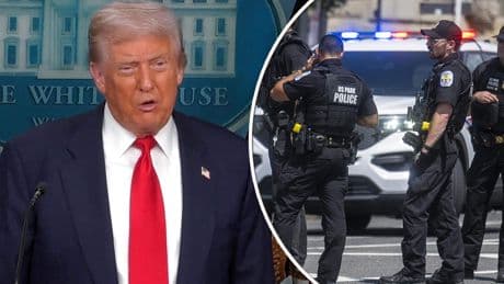 Donald Trump: ’Politie in Washington mag nu doen wat ze maar willen’
