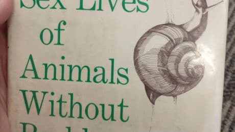 Titillating tome may prove as controversial as Lady Chatterley's Mollusc