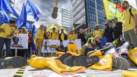 Agriculture : la France s’inquiète pour l’avenir de la PAC
