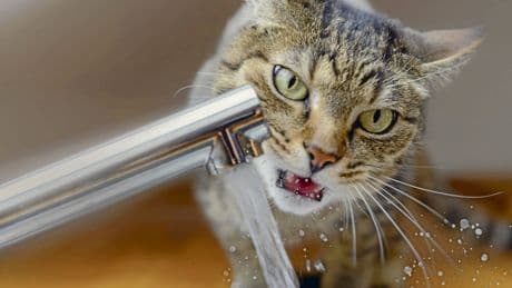 Europäische Union | EU-Wasserstrategie: Kampf ums kühle Nass