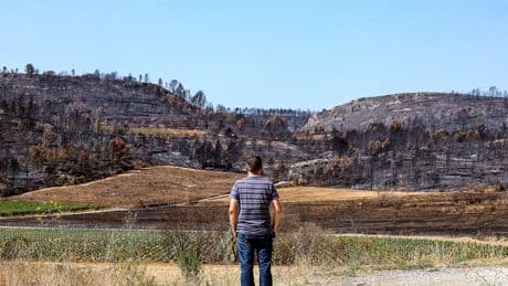 Face aux feux de forêt : « S’il faut couper des arbres chez nous, on les coupera »
