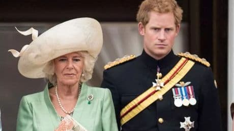 'I lived with Prince Harry for years - his brutal claim about Camilla doesn't add up'