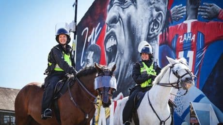 Two police horses attacked by dog during patrol in London