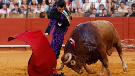 Al Alimón: El &quot;extraordinario&quot; momento de Morante y el motivo por el que &quot;es un verdadero genio&quot;