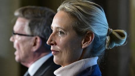 Germany's domestic intelligence labels right-wing AfD party as extremist
