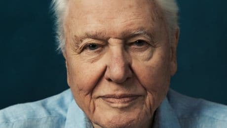 We actually found 99 facts about Sir David Attenborough you don’t know
