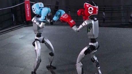 Dünyanın ilk insansı robot boksu Çin’de yapıldı: Çelik yumruklar havada uçtu