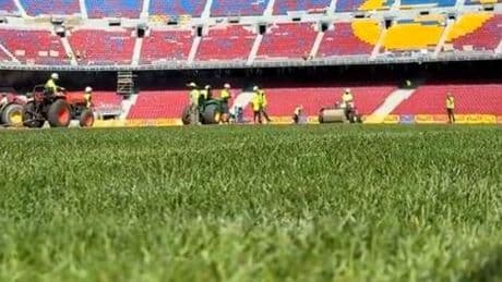El césped ya luce sus progresos en el Spotify Camp Nou