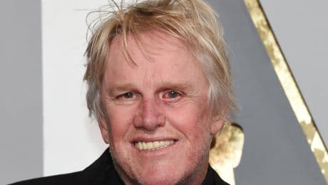 Gary Busey pleads guilty to groping woman at horror film convention