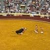 Devastated mother of bullfighter killed by rampaging 1,500lb beast in Portuguese arena hits back at trolls for 'rejoicing over her son's death'