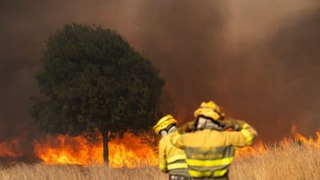 ¿Hay más incendios ahora que antes? Las causas que explican un verano anómalo
