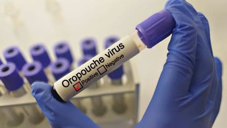 What is the latest travel advice for Oropouche virus? Tips for staying safe abroad