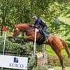 Nederlandse ruiter overleden nadat hij onwel werd op eventingwedstrijd in Hoogstraten