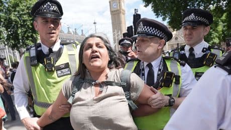 Government vows Palestine Action supporters 'will feel the full force of the law' after 532 arrests at protest