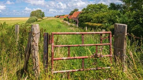 Sommer an der Nordsee: Verstecktes Juwel Dornum – Reisetipp ab Bremen
