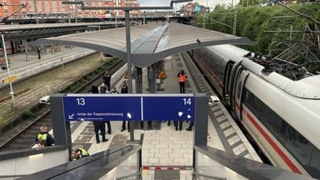 Hamburg: Großeinsatz am Hauptbahnhof - die Bilder
