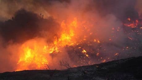 Aux Etats-Unis, un feu de végétation baptisé Canyon Fire s’étend en Californie, des milliers de personnes évacuées