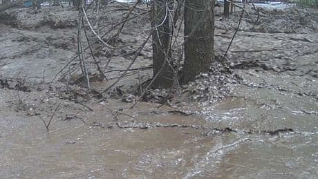 Flash flooding emergency in New Mexico triggers multiple rescues