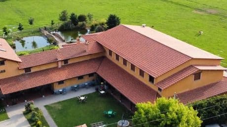 El sorprendente restaurante de León en el que puedes comer rodeado de animales exóticos