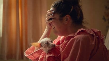 “The Bear”, “Stranger Things”, “Too much” : Chérie, j’ai rallongé les séries !