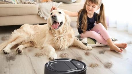 Amazon's 'dust-gobbler' robot vacuum plunges to less than £100 in flash deal