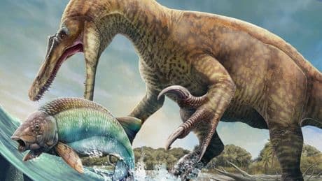 De un hueso a 'Parque Jurásico': así se resucita a un dinosaurio