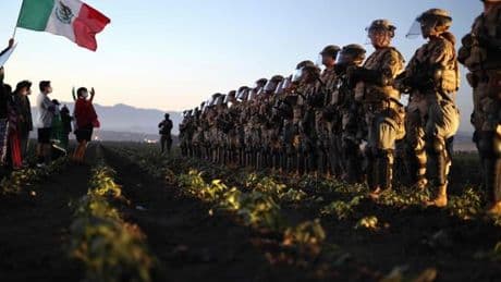 En Californie, décès d’un ouvrier agricole blessé lors d’une intervention de la police de l’immigration