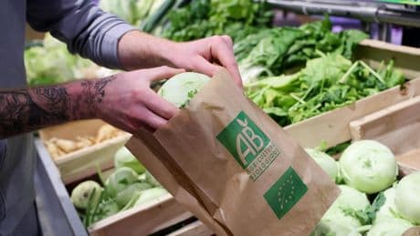 Agriculture biologique : le label fête ses 40 ans dans un contexte tendu
