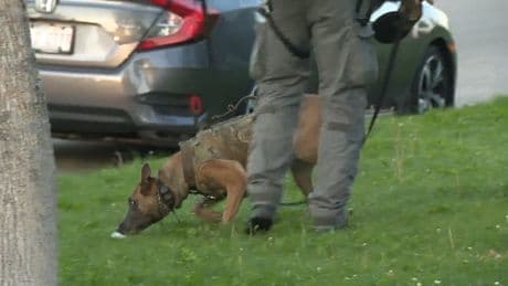 Calgary police homicide unit investigating suspicious death in Abbeydale
