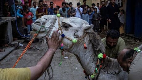 Emotionaler Moment in Pakistan: Kamel erhält Beinprothese