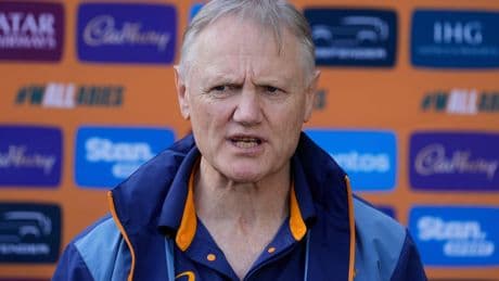 Wallabies boss Joe Schmidt rejects Lions’ demands as player release row rumbles on