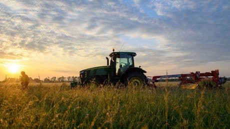 Landwirtschaft: Agentur für Arbeit wirbt für "grüne Berufe"