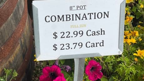 Should I bring cash when I visit the US? Businesses hit tourists with 10% surcharge for credit cards