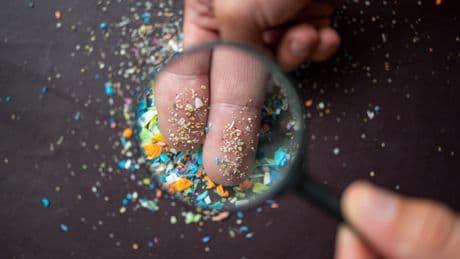 Cerveau, poumon, intestin... Les impacts inquiétants des microplastiques sur la santé