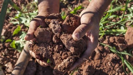 How Climate Change Affects Your Gut Health