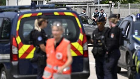Teenage student stabs teaching assistant to death at French school
