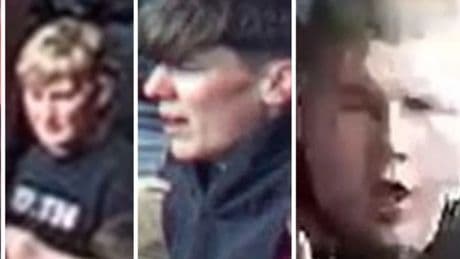 CCTV appeal after Aberdeen v Hearts disorder in Scottish Cup semi final at Hampden