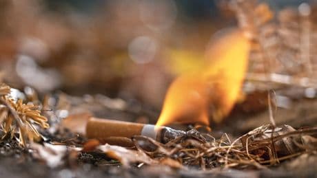 Hasta seis años de prisión por provocar un incendio y 1000 euros por fumar en el monte: así se castigan estas prácticas
